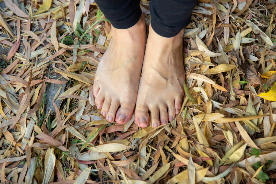 Fall Holistic Beauty Practices